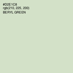 #D2E1C8 - Beryl Green Color Image